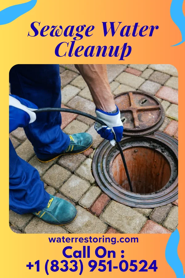 Sewage Water Cleanup in Sadorus, IL
